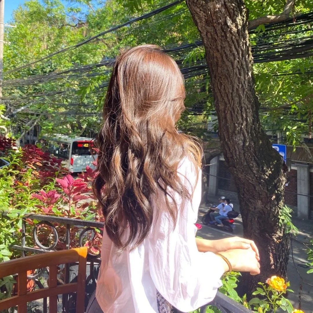 苔丝国语